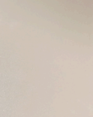 Champagne Pearl finish swatch (placeholder)